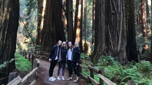 Muir Woods and Golden Gate Bridge 3-hour Private Group Tour Day Tours
