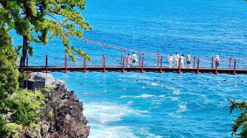 1-day tour in Izu: Free ocean-view train + Jogasaki coast, visit the filming location of "Your name" Day Tours