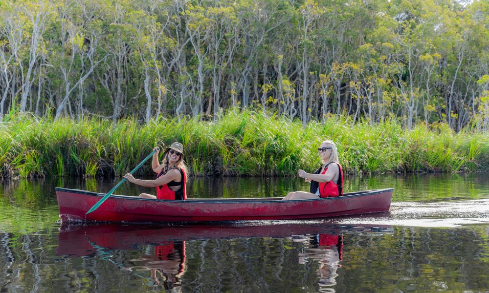 Noosa Everglades Explorer Cruise - 5 Hours