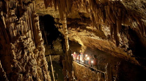 San Antonio: Discovery Tour at Natural Bridge Caverns Day Tours