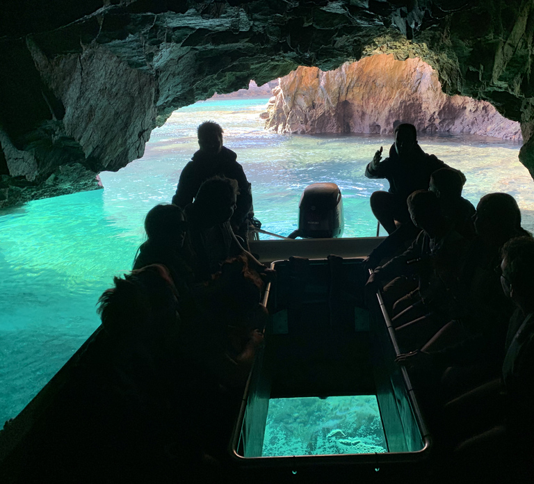 Peniche: Berlenga Island and Cave Tour