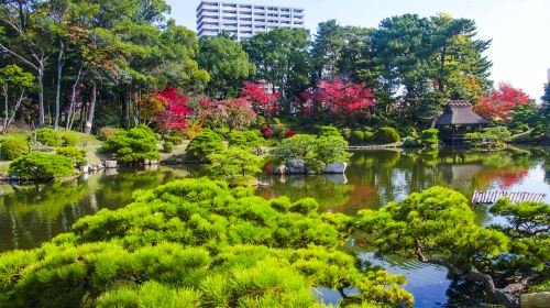 Shukkeien Garden