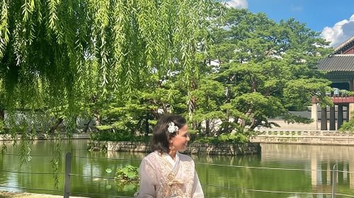 Gyeongbokgung Palace Photo Session with your own phone Day Tours