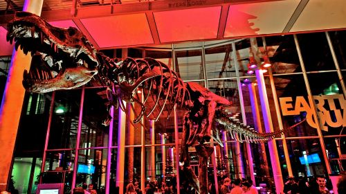 California Academy of Sciences Thursday NightLife Admission Day Tours