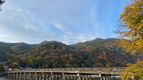 Kyoto: Arashiyama Guided Tour, Bamboo, Monkey, Zen Temple Day Tours
