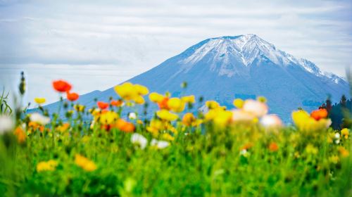 Japan Mt. Fuji 5th Station Climbing Experience, Strolling through Oshino Hakkai, and Hot Spring Experience Healing one-day tour - HolidaySG