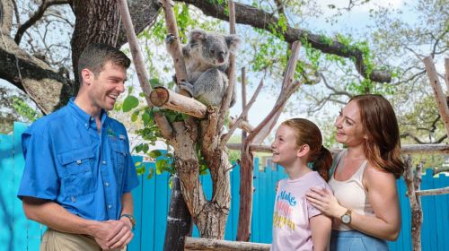Tampa ZooQuarium: ZooTampa & The Florida Aquarium Combo Ticket