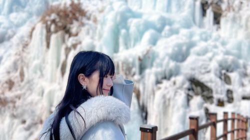 Winter Exclusive | From Seoul: Nami Island, Eobi Valley, and Rail Bike Day Tours