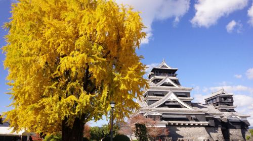 1-day tour to Kumamoto Castle, Mount Aso and Kusasenri with complimentary Mount Aso shuttle service Day Tours