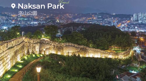 Seoul Night Tour: Changgyeonggung Palace & Naksan Park Day Tours
