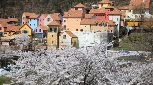 1-day tour to Nami Island in Korea [Nami Island & Petite France & Italian Village] Day Tours