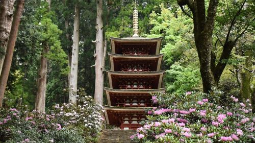 Osaka-Nara: 2-Day Discovery Pass Day Tours