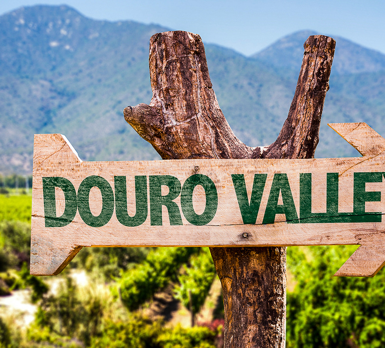 From Porto: Douro Valley w/ Boat Tour, Wine Tasting & Lunch