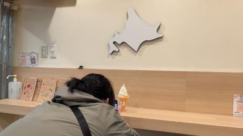 Sapporo Walking Tour Day Tours