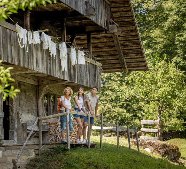 Interlaken: Admission ticket for the Ballenberg Open-Air Museum