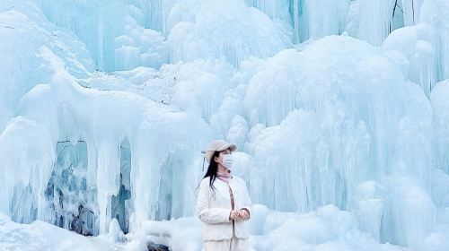 Eobi Ice Valley + Alpaca World + Nami Island + The Garden of Morning Calm One Day Tour (From Seoul, Winter Exclusive) Day Tours