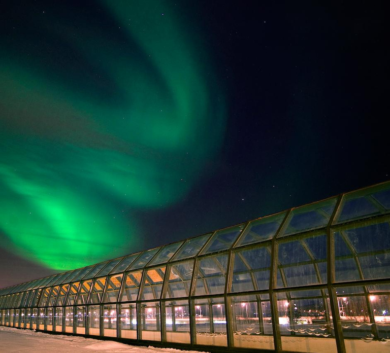 Rovaniemi: Arktikum Science Centre and Museum Entry Ticket