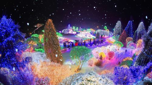 Winter exclusive|Eobi Valley Glacier X Nami Island X Morning Calm Arboretum Night Light Festival Day Tours