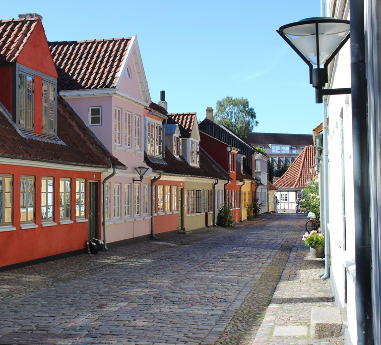 Odense Private Guided Walking Tour