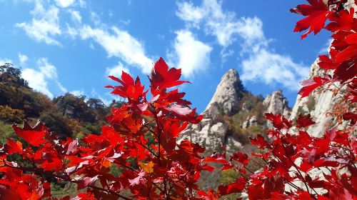 Mt. Seorak+Nami Island+Garden of Morning Calm Day Trip from Seoul Day Tours