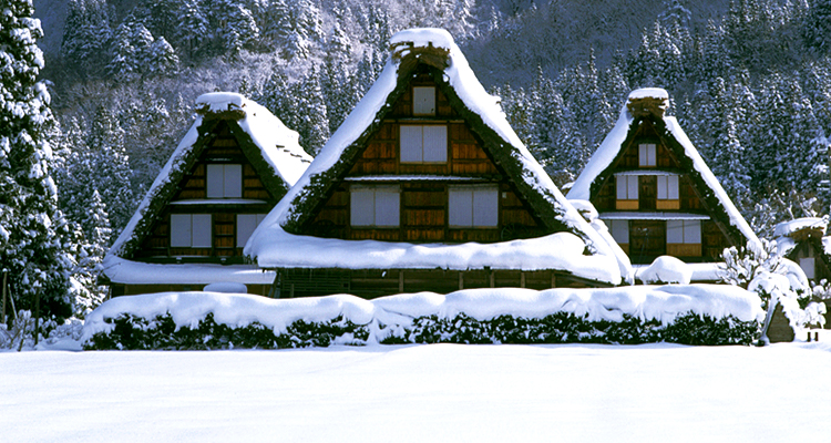 Jr Central-West Takayama-Hokuriku Area Tourist Pass