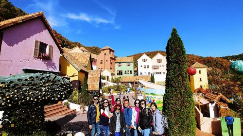 Full-Day Customizable Private Tour to Nami Island and surrounding Area Day Tours