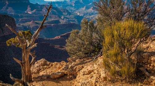 Grand Canyon West Canyon one-day tour(Including Helicopter + sightseeing cruise ticket) Day Tours