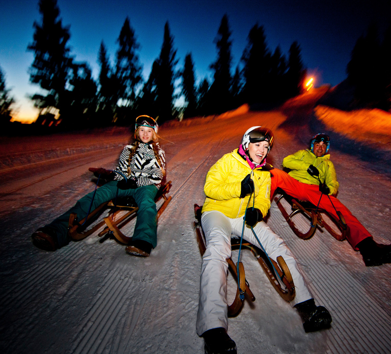 From Interlaken: Night Sledding with Cheese Fondue Dinner