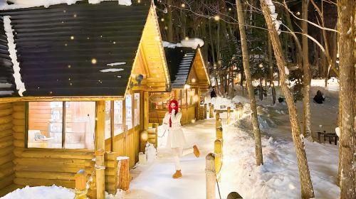 Hokkaido Asahiyama Zoo & Forest Terrace & Shirahige Waterfall & Shirogane Blue Pond (Aoiike) 1-day tour Day Tours