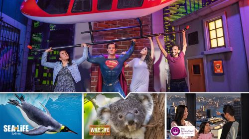 Sydney: Ultimate City Pass for 4 Attractions with Skywalk Day Tours