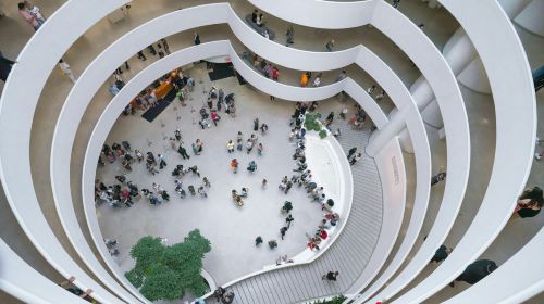 The Guggenheim: Entry Ticket