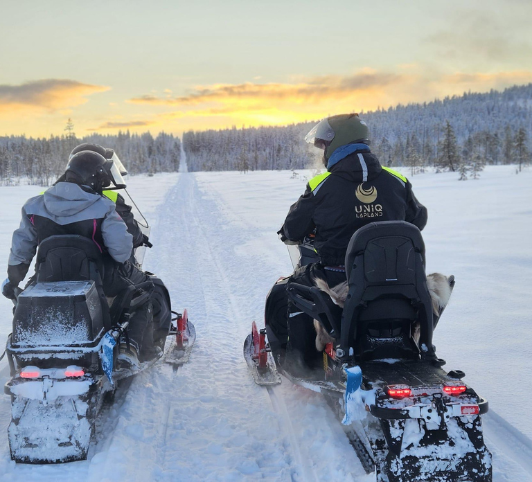 Lapland: Private Snowmobile Safari with arctic Local Guide