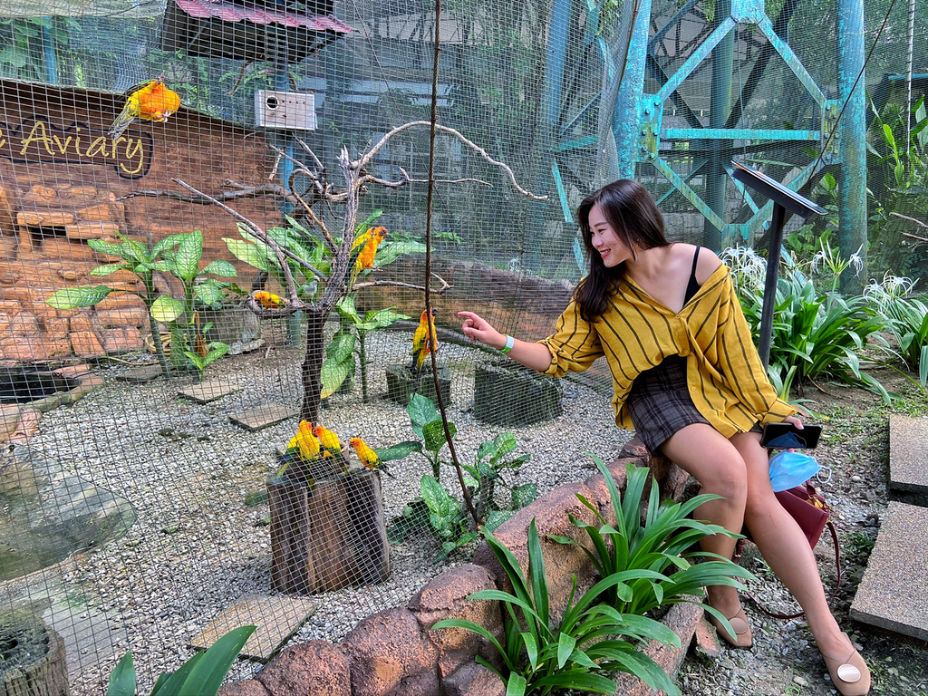 KL Bird Park Admission Ticket With One Way Transfer - HolidaySG