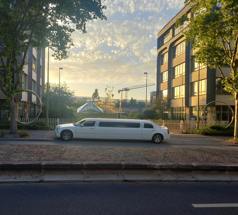 Tour of Paris by limousine by day or night.