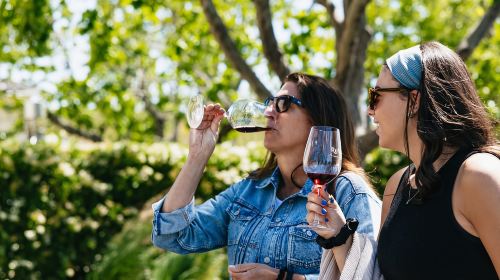 San Francisco: Napa and Sonoma Valley Wine Tour Day Tours