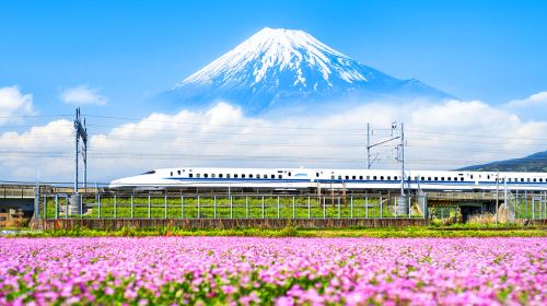 Mt Fuji & Hakone  One Day Tour from Tokyo,Return by Bullet Train Day Tours