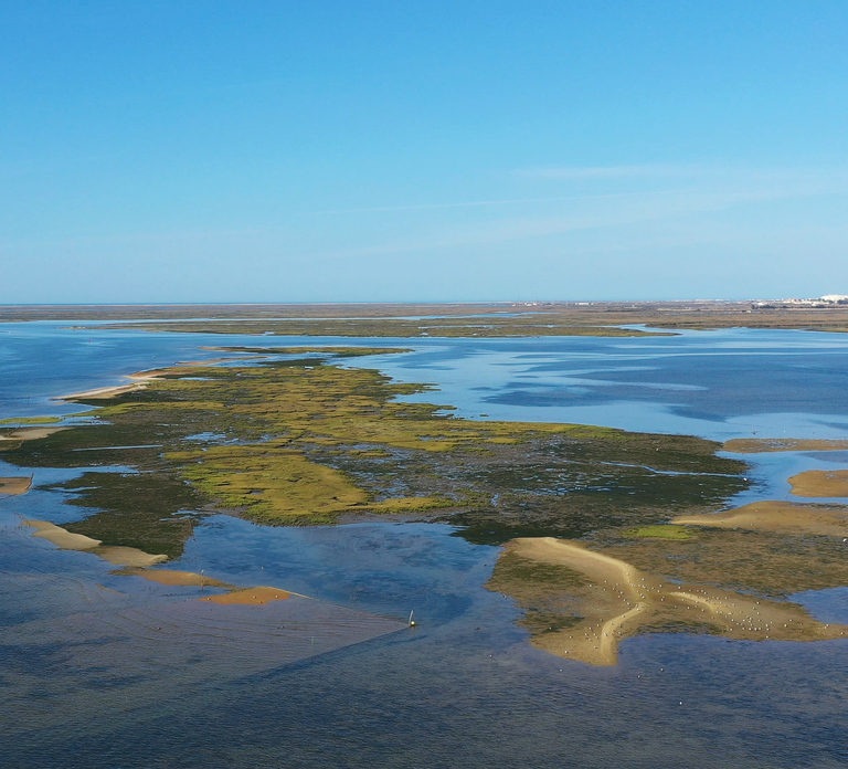 Ria Formosa: Armona and Culatra Islands 3-Hour Boat Tour