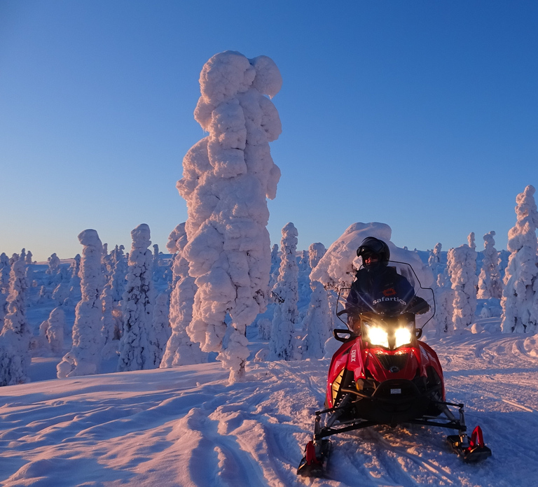 Saariselkä: Evening Snowmobile Tour with Fire & picnic