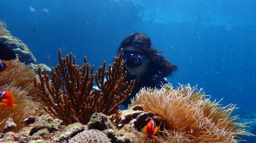 2-hour diving and snorkeling experience in Green Island, Taitung [Green Island Blue Cave Secret Spot / Sleeping Beauty Ancient Trail + Immortal Stacked Rocks Snorkeling] - HolidaySG