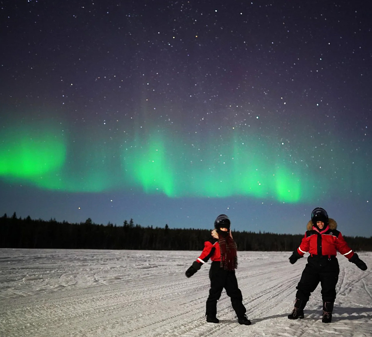 Rovaniemi: Northern Lights Sleigh Ride
