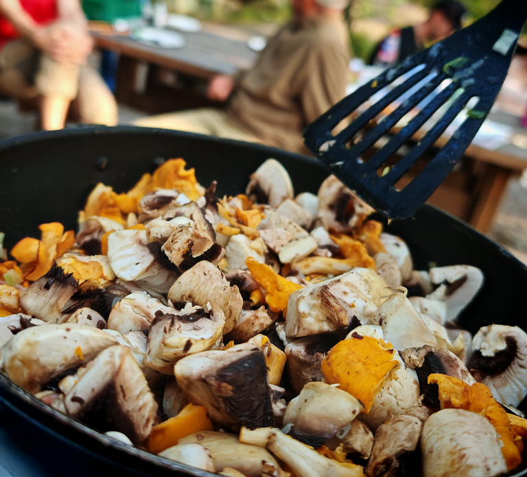 Tampere: Mushroom Picking and Tasting Tour with Meal