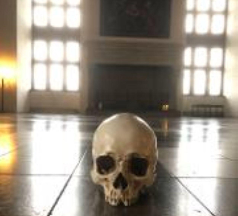 Easy Pace Tour of Kronbog Castle & Frederiksborg Palace W