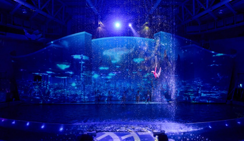 [Jeju] Hanwha Aqua Planet Discount Ticket