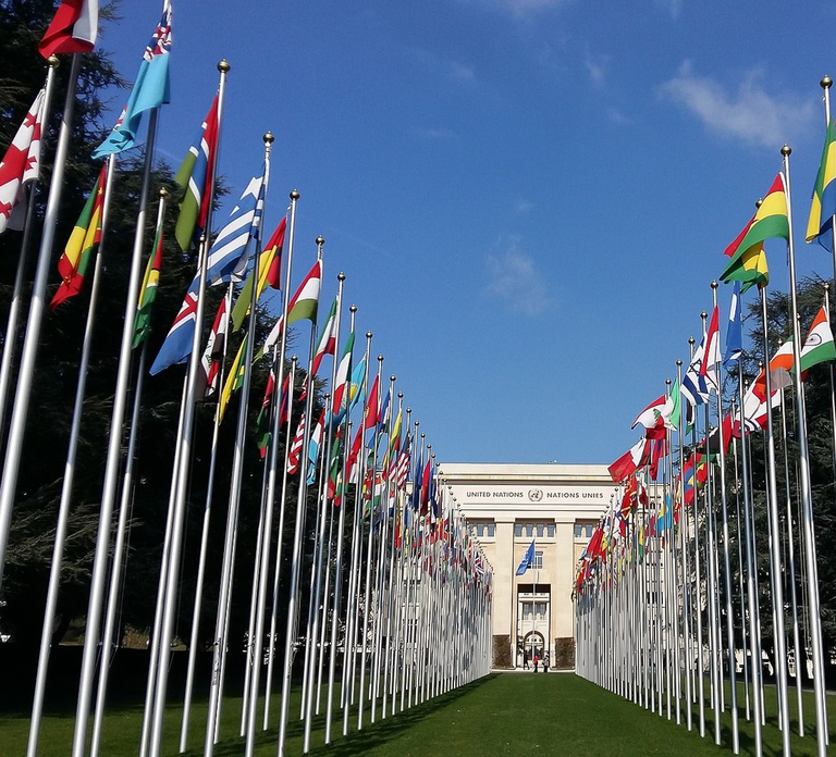 Best of Geneva City Tour: International Area and Old Town
