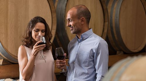 Small Group Napa and Sonoma Half-Day Wine Tour from San Francisco Day Tours