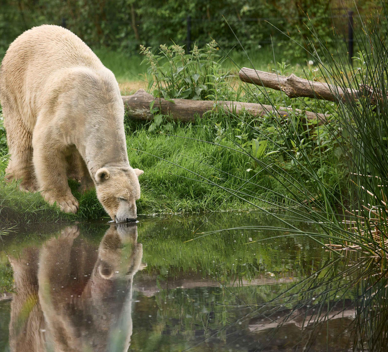 Leewarden: AquaZoo Entry Ticket