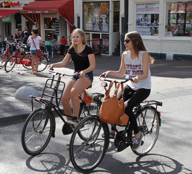 Amsterdam: Guided Sightseeing Bike Tour