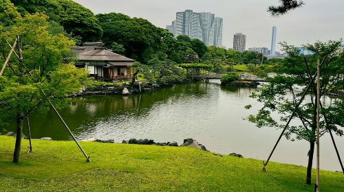 Tokyo Waterfront Tour: Tsukiji Market & Bay Area 3.5 Hrs Day Tours