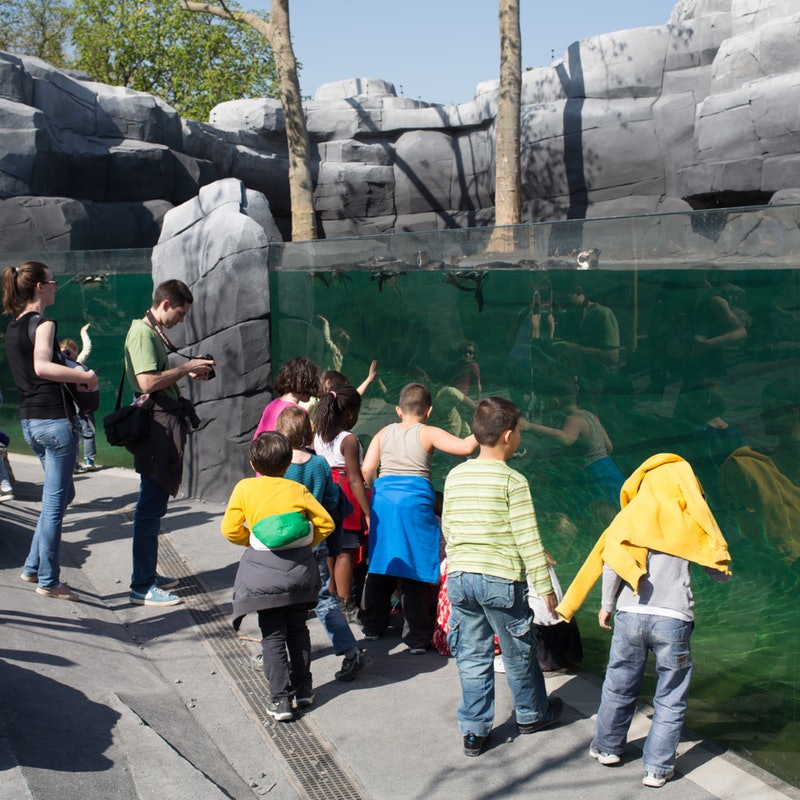 Paris Zoological Park - HolidaySG