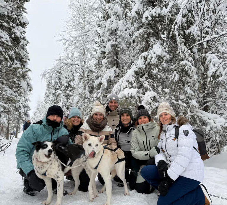 Levi: 2 km Husky Sled Ride in the Wilderness